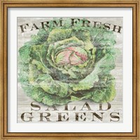 Framed Farm Fresh Greens