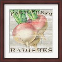 Framed Farm Fresh Radishes