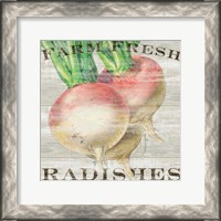 Framed Farm Fresh Radishes