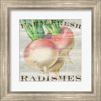 Framed Farm Fresh Radishes