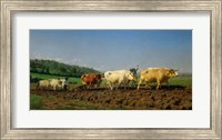 Framed Ploughing in the Nivernais, 1849