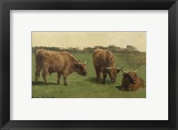 Framed Three Studies of Reddish-Haired Cows on a Meadow