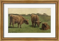 Framed Three Studies of Reddish-Haired Cows on a Meadow