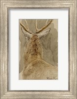 Framed Study of a Deer