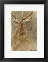 Framed Study of a Deer