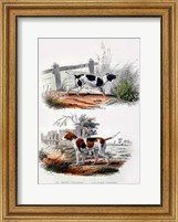 Framed Pair of Dogs I