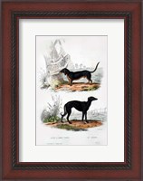 Framed Pair of Dogs III