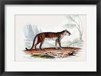 Framed Leopard II