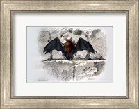 Framed Bat I