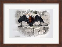 Framed Bat I