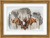 Framed Bat II