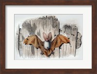 Framed Bat II