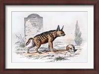 Framed Hyena I