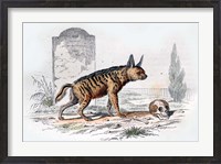 Framed Hyena I