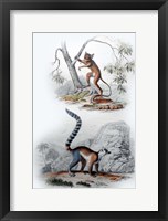 Framed Pair of Monkeys I