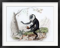 Framed Monkey III