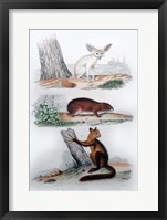 Framed Three Mammals II