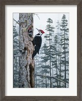 Framed Piliated Woodpeckers
