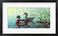 Framed Wood Ducks