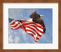 Framed Flight of Freedom Bald Eagle