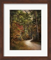 Framed Autumn Forest 2