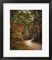 Autumn Forest 2 Framed Print