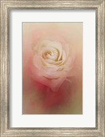 Framed Valentine Rose