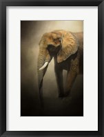 Framed Elephant Emerges