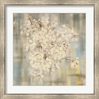 Framed White Cherry Blossom I