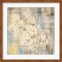 Framed White Cherry Blossom III
