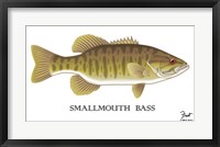 Framed Smallmouth Bass