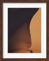 Framed Namibia The Dune