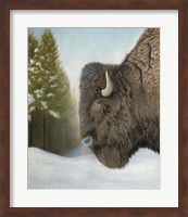 Framed Lone Buffalo