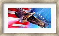 Framed American Eagle Flag