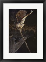 Framed Tight Rope Barn Owl