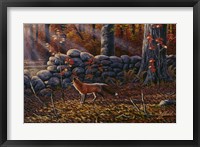 Framed Autumn Reds - Red Fox