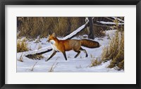Framed Fox Trot  - Red Fox