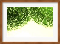 Framed Limes
