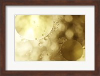 Framed Shallow Bubbles