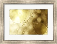 Framed Shallow Bubbles