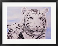 Framed White Tiger and Cub