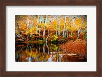 Framed Fall Pond Colors 1