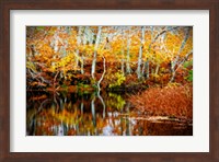 Framed Fall Pond Colors 1