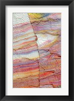 Framed Abstract 9