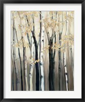 Framed Golden Birch I