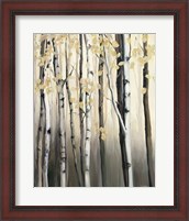 Framed Golden Birch II