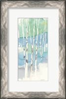 Framed Aspens Panel II