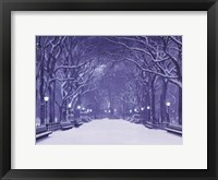 Framed Winter In Central Park