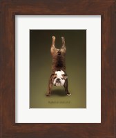 Framed Yoga Sammy