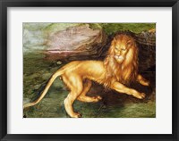 Framed Lion